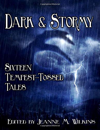 Stock image for Dark and Stormy: Sixteen Tempest-Tossed Tales for sale by Revaluation Books