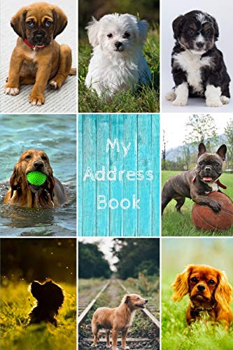Beispielbild fr My Address Book: Dog Cover | Address Book for Names, Addresses, Phone Numbers, E-mails and Birthdays zum Verkauf von AwesomeBooks