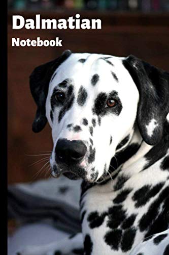 Imagen de archivo de Dalmatian Notebook: Love Pets, Dog, 101, Journaling, Writing, Planning. Campi Press (Lined Journal Notebook) 120 Pages, 6x9 IN. a la venta por Revaluation Books