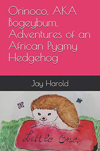 Stock image for Orinoco, AKA Bogeybum, Adventures of an African Pygmy Hedgehog for sale by Lucky's Textbooks