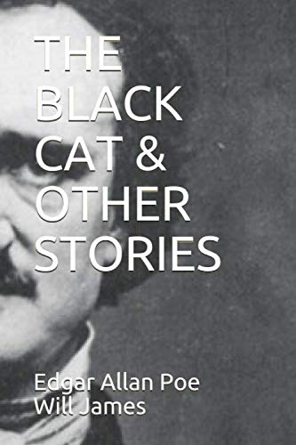 Imagen de archivo de THE BLACK CAT & OTHER STORIES a la venta por Revaluation Books