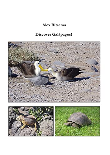 Stock image for Discover Galpagos! for sale by GreatBookPrices