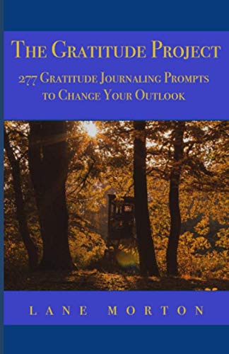 Stock image for The Gratitude Project: 277 Gratitude Journaling Prompts to Change Your Outlook for sale by Revaluation Books