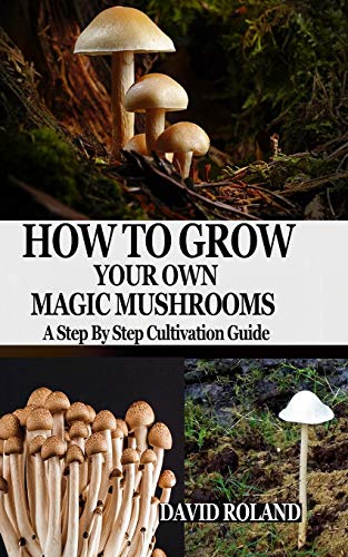 Stock image for HOW TO GROW YOUR OWN MAGIC MUSHROOMS: A Step By Step Cultivation Guide for sale by Lucky's Textbooks