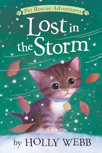 9781680104103: Lost in the Storm (Pet Rescue Adventures)