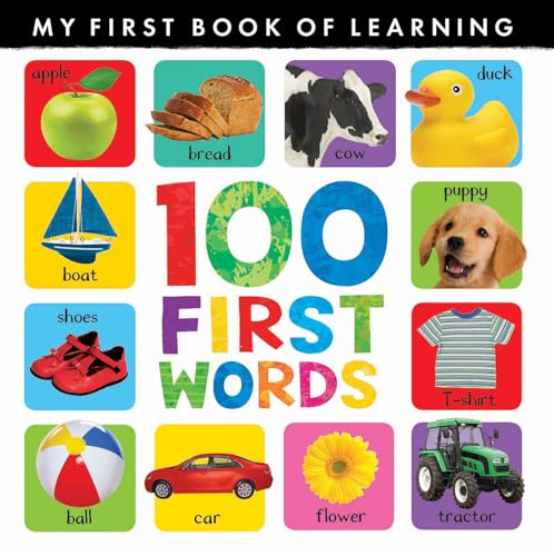 Stock image for 100 First Words (My First) for sale by SecondSale