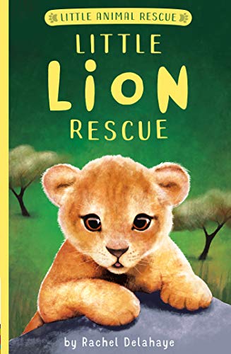 9781680104622: Little Lion Rescue (Little Animal Rescue)