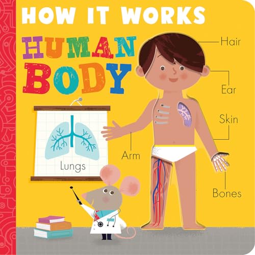 Stock image for How it Works: Human Body for sale by Ebooksweb