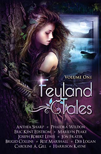 Stock image for Feyland Tales: Volume 1 for sale by ThriftBooks-Atlanta