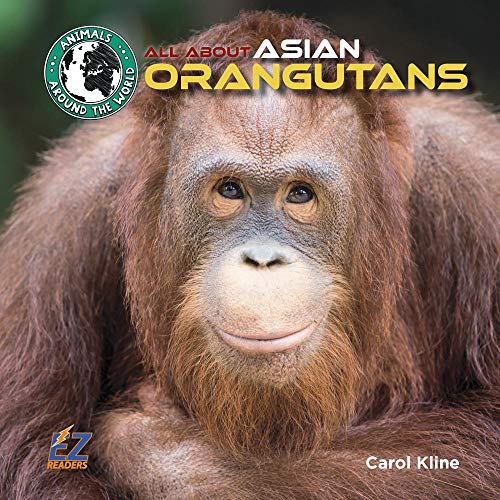 Stock image for All About Asian Orangutans (Animals Around the World) for sale by Housing Works Online Bookstore