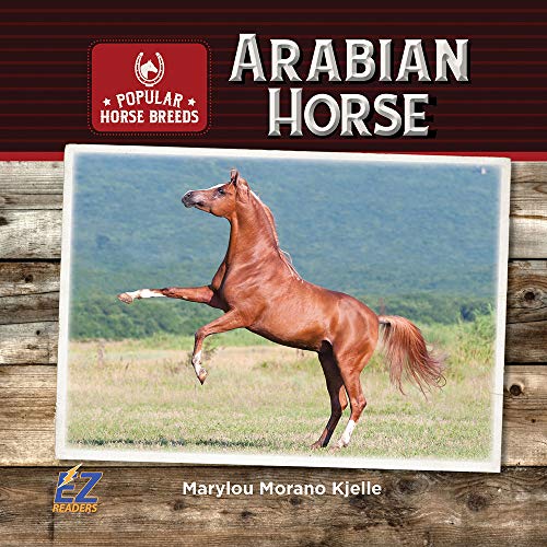 Stock image for Arabian Horse for sale by ThriftBooks-Dallas
