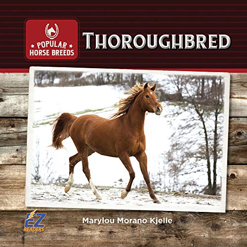 Beispielbild fr Thoroughbred (Popular Horse Breeds) zum Verkauf von PlumCircle