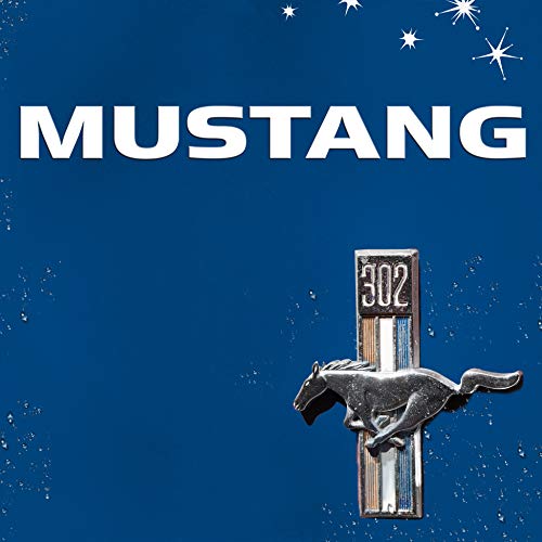 Beispielbild fr Mustang zum Verkauf von Better World Books