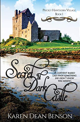 9781680468908: Secret at Dark Castle (Prickly Hawthorn Village)