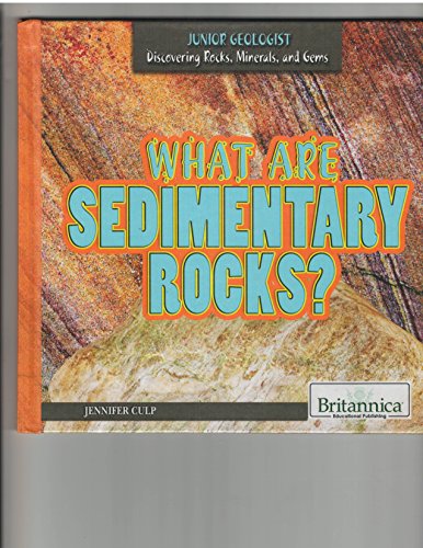 Imagen de archivo de What Are Sedimentary Rocks? a la venta por Better World Books