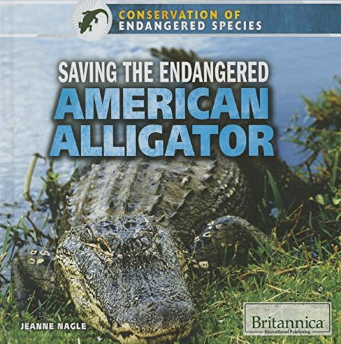 9781680482522: Saving the Endangered American Alligator (Conservation of Endangered Species)