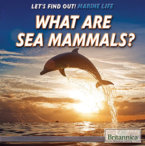 Stock image for What Are Sea Mammals? (Let's Find Out!) for sale by More Than Words