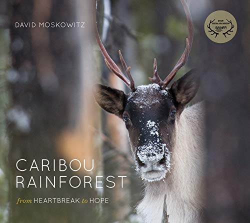 Stock image for Caribou Rainforest : From Heartbreak to Hope for sale by Better World Books