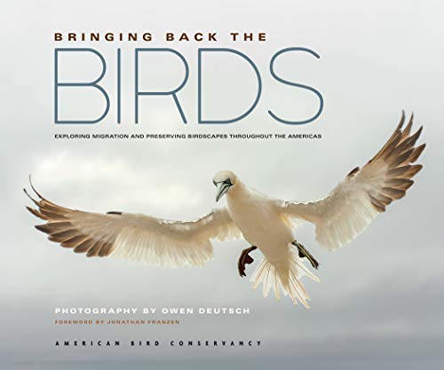 Stock image for Bringing Back the Birds: Exploring Migration and Preserving Birdscapes throughout the Americas for sale by Off The Shelf