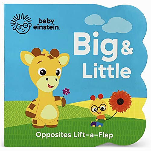 Stock image for Baby Einstein Big and Little Chunky Lift a Flap Board Book: An Opposites Book for sale by SecondSale