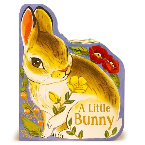 Beispielbild fr A Little Bunny zum Verkauf von SecondSale