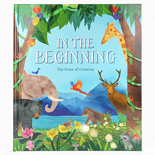 Stock image for In the Beginning: The Story of Creation for sale by ThriftBooks-Atlanta
