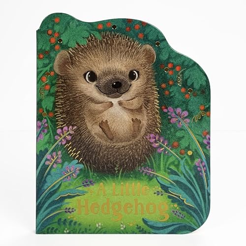 Stock image for A Little Hedgehog for sale by SecondSale