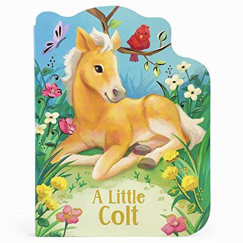 9781680527773: A Little Colt: A Baby Horse Board Book Story