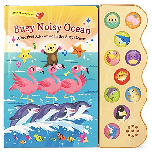 Stock image for Busy Noisy Ocean (Early Bird Sound Books) for sale by ZBK Books