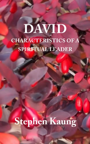 9781680621662: David: Characteristics of a Spiritual Leader