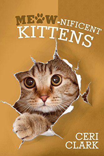 Beispielbild fr Meow-nificent Kittens: The Secret Personal Internet Address & Password Log Book for Kitten & Cat Lovers (Disguised Password Books) zum Verkauf von Books Unplugged