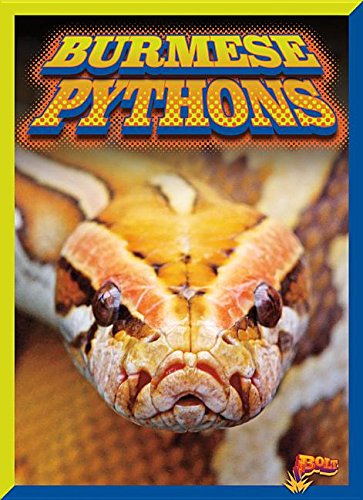 Stock image for Burmese Pythons for sale by Better World Books