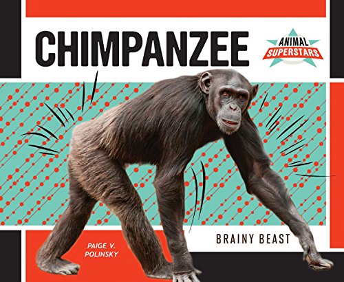 Beispielbild fr Chimpanzee : Brainy Beast zum Verkauf von Better World Books