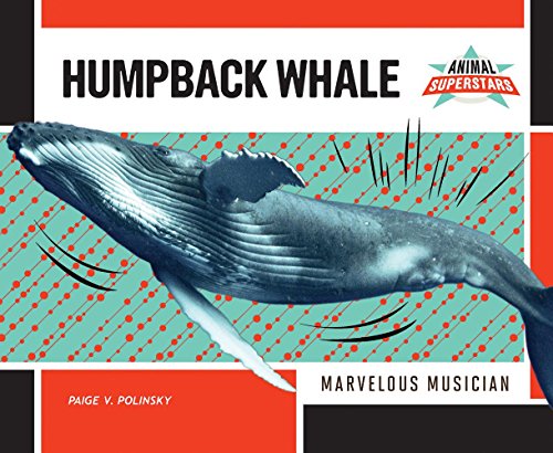 9781680781496: Humpback Whale: Marvelous Musician (Animal Superstars)