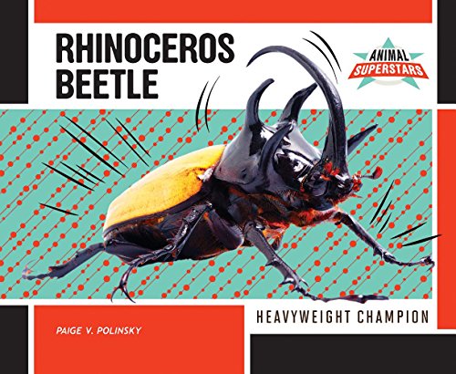 Beispielbild fr Rhinoceros Beetle : Heavyweight Champion zum Verkauf von Better World Books