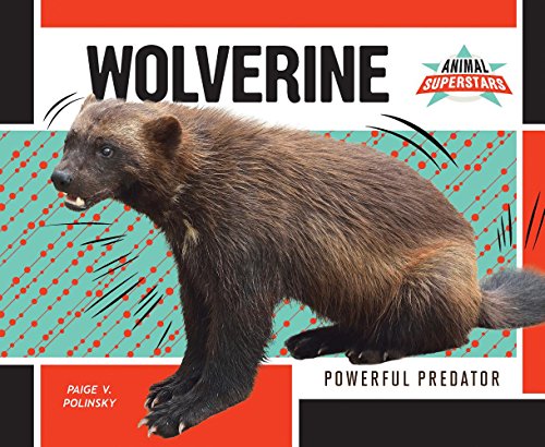 Beispielbild fr Wolverine : Powerful Predator zum Verkauf von Better World Books