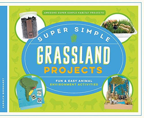 Stock image for Super Simple Grassland Projects : Fun & Easy Animal Environment Activities for sale by Better World Books