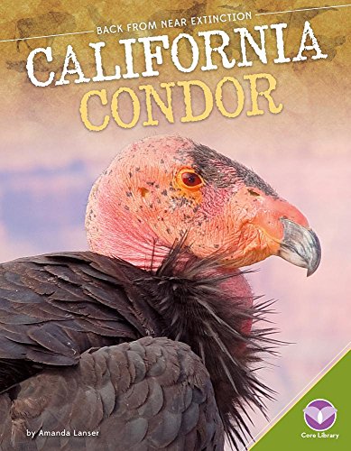 Stock image for California Condor for sale by Better World Books: West