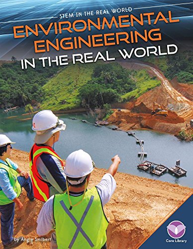 9781680784787: ENVIRONMENTAL ENGINEERING IN T (STEM in the Real World, 2)
