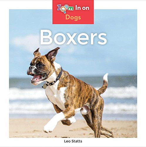 Stock image for Boxers (Dogs (Abdo Zoom)) for sale by Ezekial Books, LLC