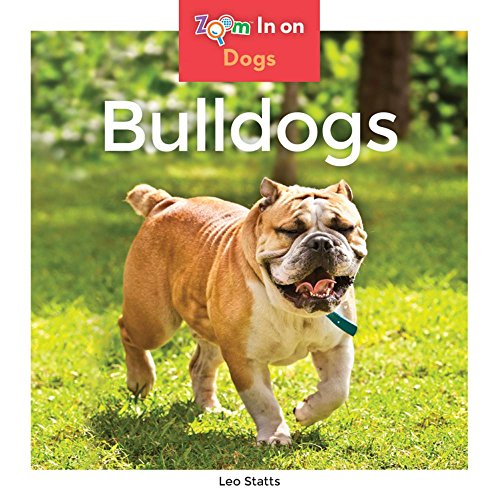 Stock image for Bulldogs (Dogs (Abdo Zoom)) for sale by Ezekial Books, LLC
