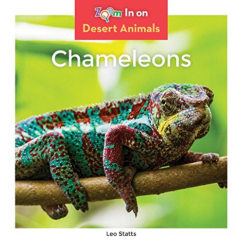 Stock image for Chameleons (Zoom in on Desert Animals) for sale by Irish Booksellers