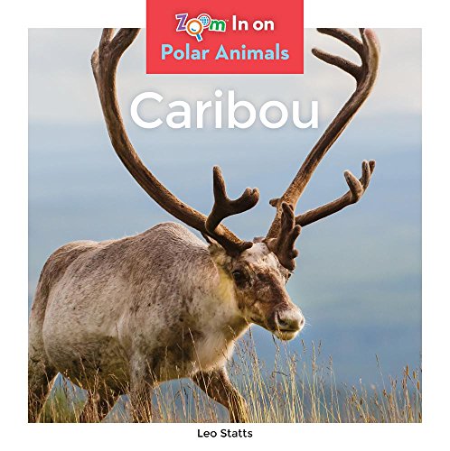 Stock image for Caribou (Zoom in on Polar Animals) for sale by Irish Booksellers