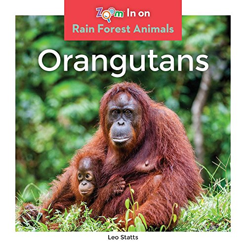 Stock image for Orangutans for sale by Better World Books: West