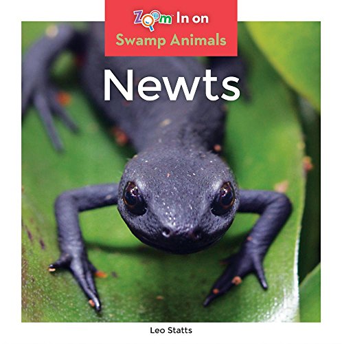 Stock image for Newts for sale by Better World Books: West