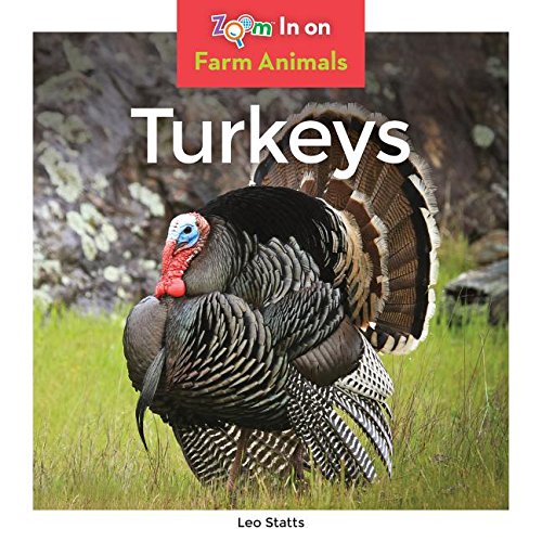 9781680799088: Turkeys (Farm Animals)