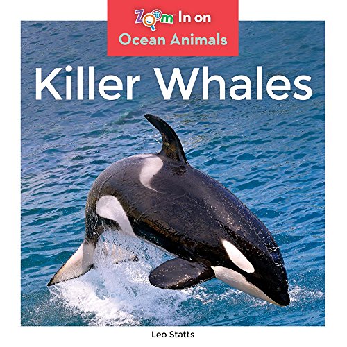 Stock image for Killer Whales (Zoom in on Ocean Animals) for sale by Dream Books Co.