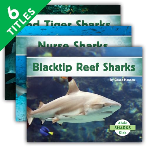 9781680801484: Sharks Set: Angel Sharks / Blacktip Reef Sharks / Blue Sharks / Bull Sharks / Nurse Sharks / Sand Tiger Sharks
