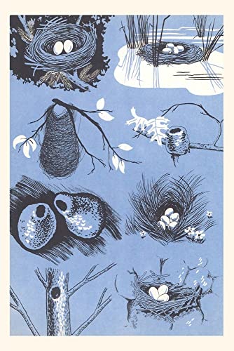 Stock image for Vintage Journal Birds' Nest for sale by GreatBookPrices