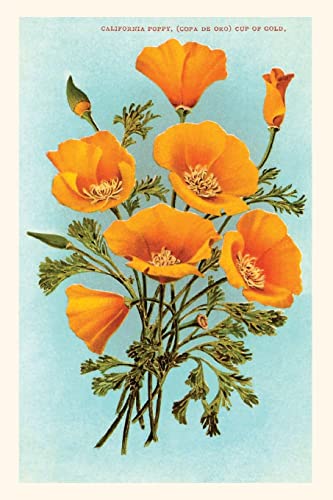 Stock image for Vintage Journal California Poppies for sale by GreatBookPrices